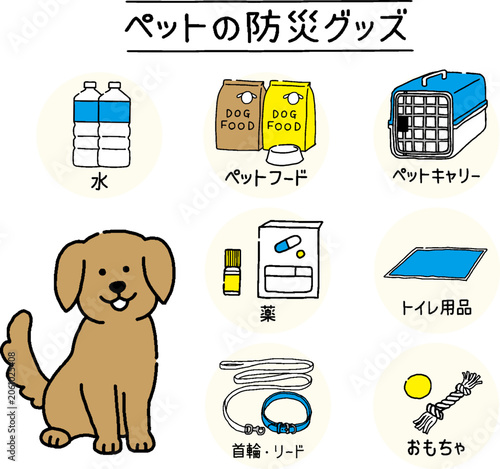 犬の防災グッズ