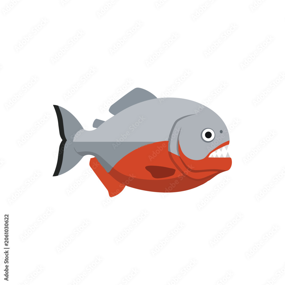 Fototapeta premium Aggressive Red Belly Piranha Fish Vector Illustration with Sharp Teeth and Predator Features Isolated Design