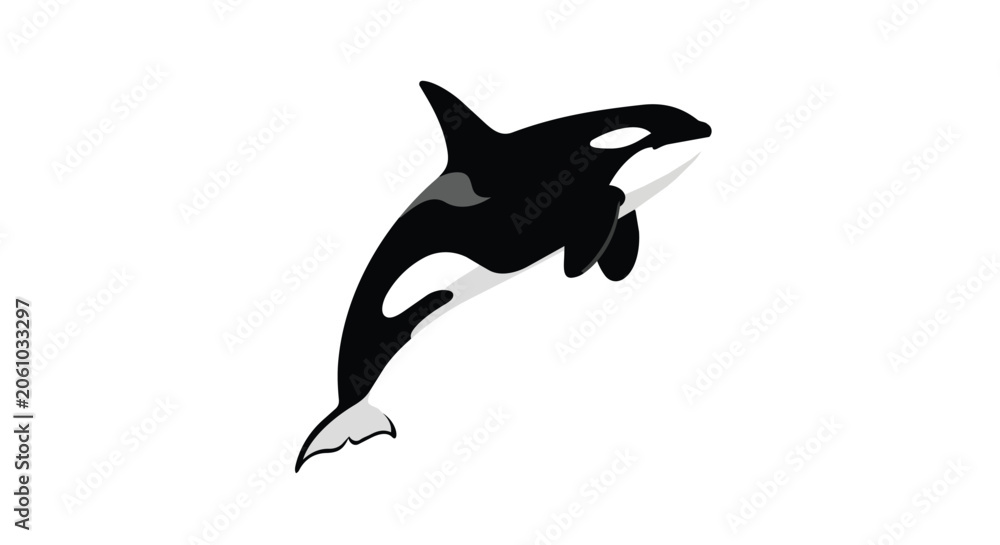 Naklejka premium Orca Killer Whale Jumping Marine Wildlife Silhouette Vector Illustration Isolated On White Background Asset