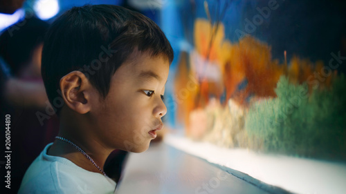 Fotografi Young boy observing marine life through aquarium glass