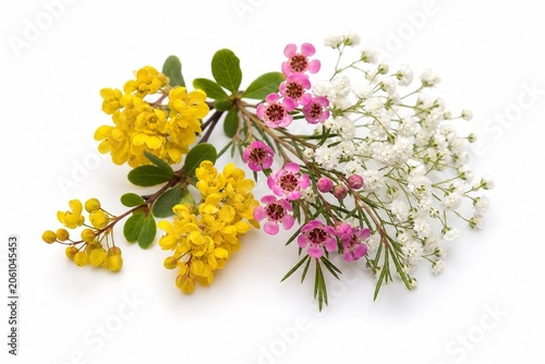 Close-up of small yellow, pink, and white flowers on a clean white background.