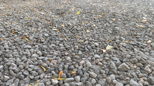 Small crushed rocks covering the ground with organic texture and neutral tones.