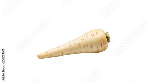 Parsnip Root Vegetable Illustration