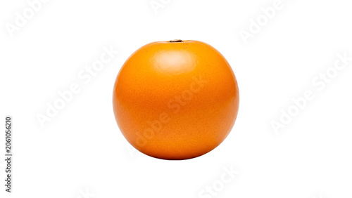 Fresh Orange Fruit