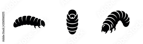 Quadro su tela Larva and Grub Insect Icons