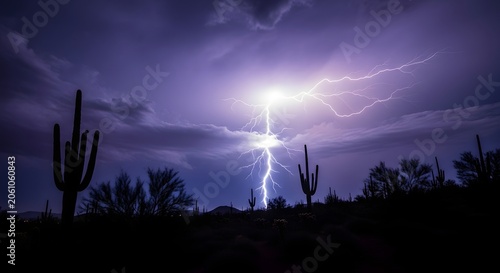 Desert lightning storm with saguaro cactus silhouette