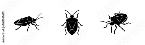 Bild auf Leinwand Bug icons: stink bug, various perspectives