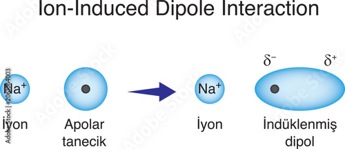 Foto lon-induced dipole interaction is an intermolecular attractive force that occurs betwen an ion and a nonpolar (molecule without a permanent dipole molecule