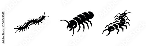 Foto Centipede and millipede icons