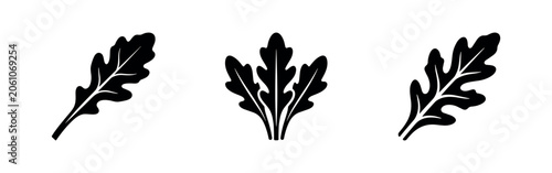 Foto Arugula leaves icons set