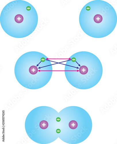 A microscopic representation of the events that occur during the formation of a covalent bond between two hydrogen atoms and the interactions that take place during these events.