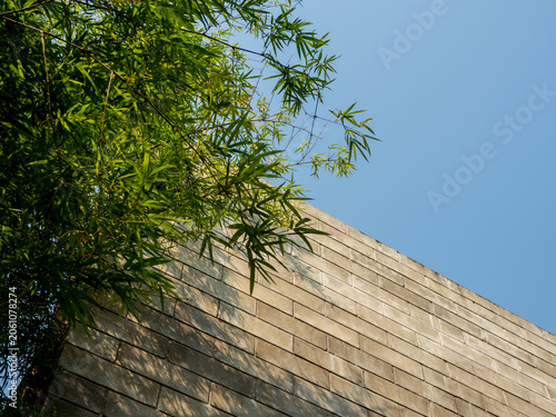 Ornamental bamboo decorates brick walls and buildings