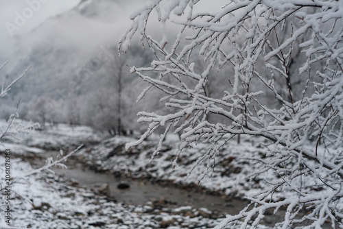 Snow-covered branches above a small river flowing through a misty winter valley.