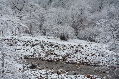Snow-covered branches above a small river flowing through a misty winter valley.
