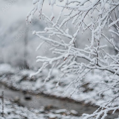 Snow-covered branches above a small river flowing through a misty winter valley.