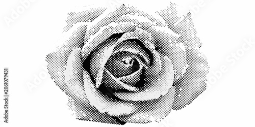 A halftone rose illustration detailed with a dotted pattern against a white background flower