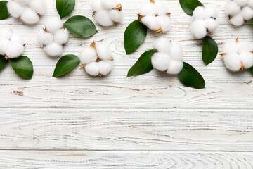 Autumn Floral Flat lay background composition. Dried white fluffy cotton flower branchwith green leaf top view on colored table with copy space