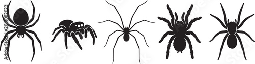 spider silhouettes icon set various spider species vector illustration
