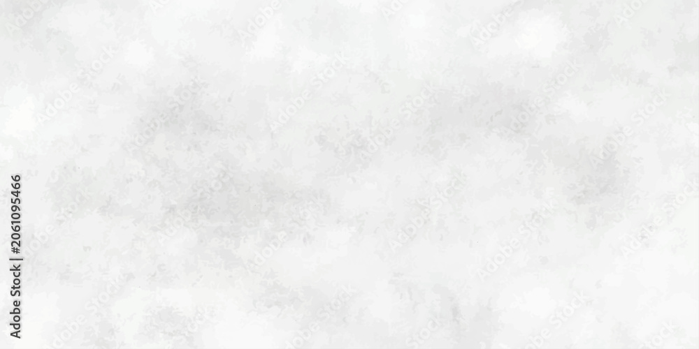 Obraz premium Abstract white and gray watercolor texture with subtle brush strokes and a soft, diffused lighting effect, ideal for backgrounds or artistic projects.