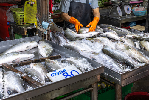 Fish Vendor Arranging Fresh Catch on Ice