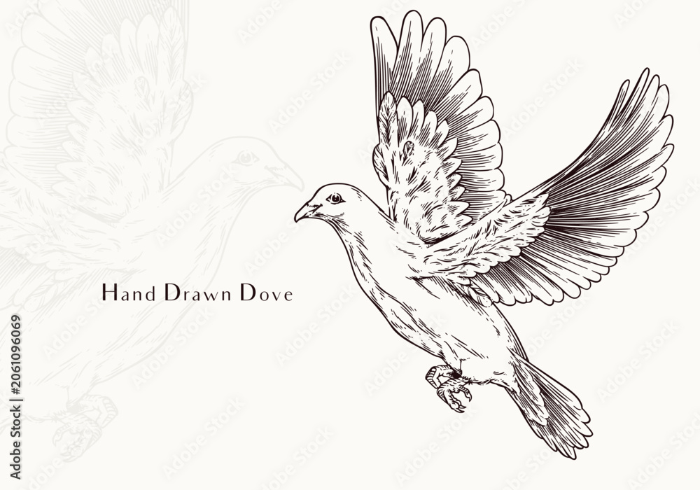 Fototapeta premium Vintage Hand Drawn Dove Classic Peace Bird Illustration