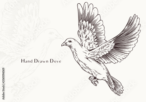 Vintage Hand Drawn Dove Classic Peace Bird Illustration