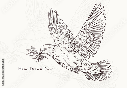 Minimalist Hand Drawn Dove Outline Modern Peace Bird Illustration