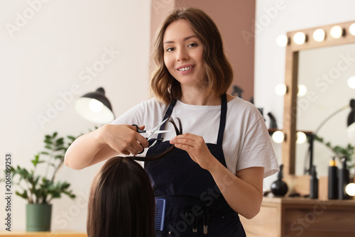 Smiling female hairdresser ...