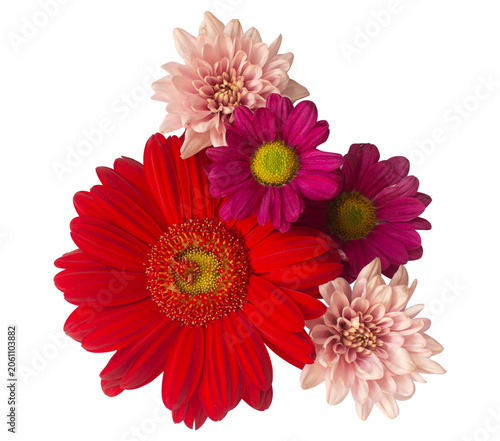 Fresh Cut Flowers Top View Angle for Wedding Card Ornamental or Wedding Background