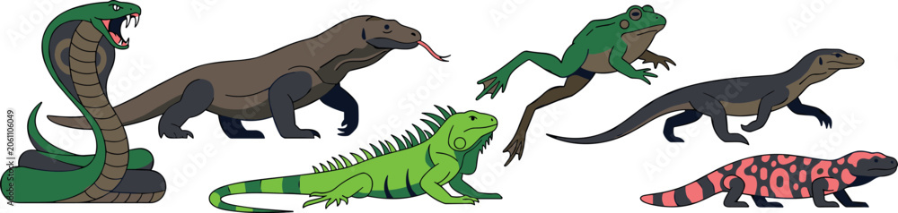 Fototapeta premium Reptiles and Amphibians Vector Set Featuring Cobra Snake Komodo Dragon Green Iguana Frog Monitor Lizard and Gila Monster Icons for Wildlife Graphic Designs