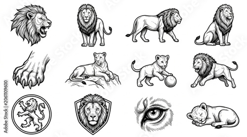 Fotografía Collection of Lion Illustrations in Various Poses and Styles.