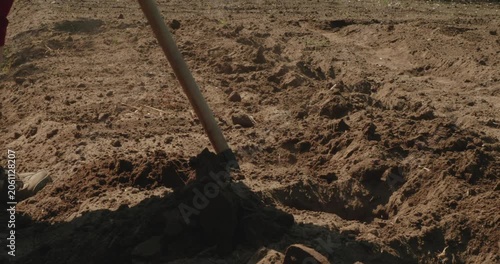 Close-up shot of a farm worker using a hoe to break up clumps of earth and prepare the soil for planting, demonstrating agricultural labor and cultivation techniques in a sunny field.