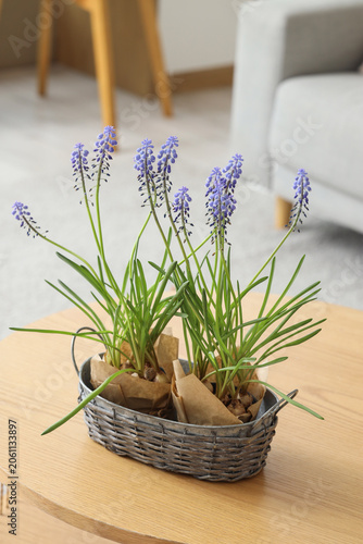 Metal basket with Muscari f...