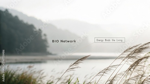 Serene Landscape with Lush Grass by Calm Water and Misty Hills in the Background at Dawn, Perfect for Nature and Wellness Themes
