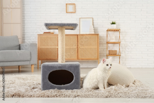Cute white cat near scratch...