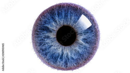 Schilderij op canvas Extreme close-up of a blue iris with intricate details and a black pupil