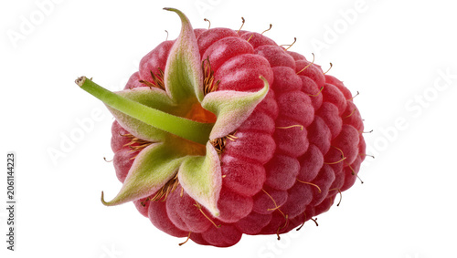 Foto Ripe red raspberry with green sepals and stem