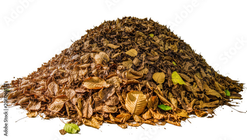 Foto Large pile of dry brown autumn leaves