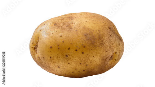 Fotografija Single raw potato with brown skin and dark spots