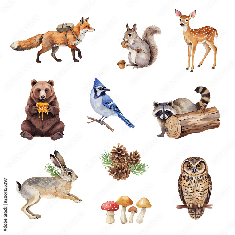 Fototapeta premium Woodland animals including a fox, squirrel, deer, bear, blue jay, raccoon, rabbit, and owl are arranged as separate watercolor elements.