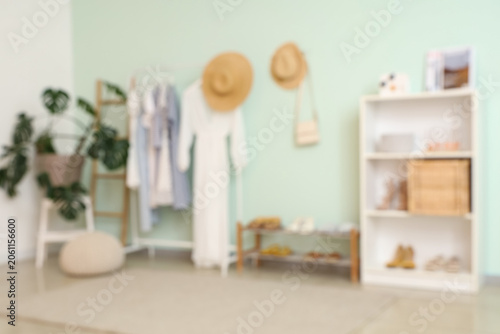 Fotografie Interior of light room with rack of stylish clothes, houseplant and shelf with s