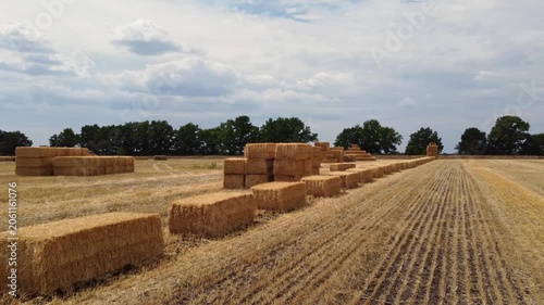 Golden hay bales line on a harvested field with cloudy sky. Rural aerial scene of a productive farming season