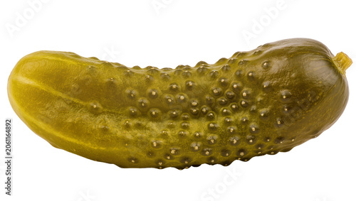 Slika na platnu Whole bumpy dill pickle with stem end