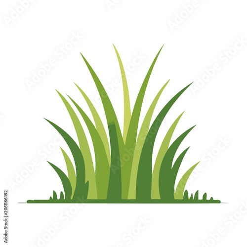 Green grass vector flat design