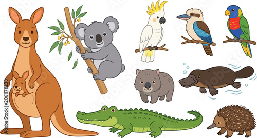 Photography Australian Wildlife Cartoon Collection Featuring Kangaroo Koala Cockatoo Kookabu