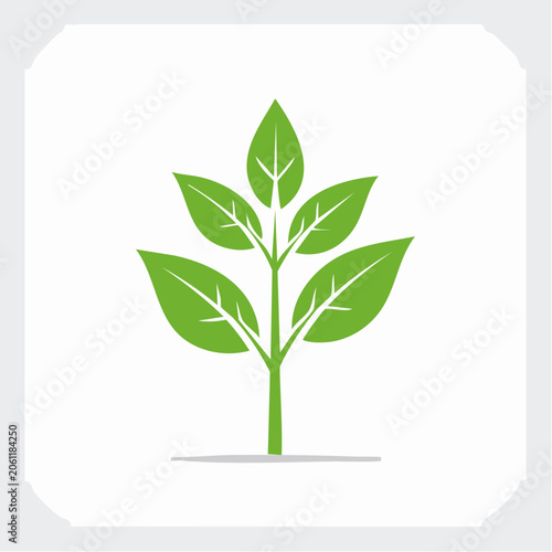 Green Plant Sprout Icon