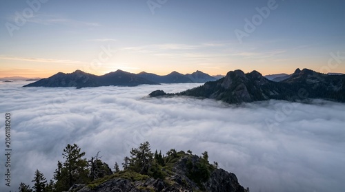 Beautiful sunset view over high mountain peaks rising above a thick layer of clouds with pine trees in the foreground