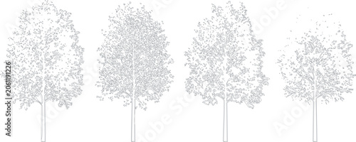 Set of four handdrawn sketch style deciduous trees