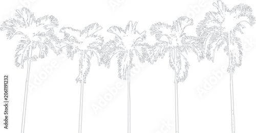 Five palm trees in a row