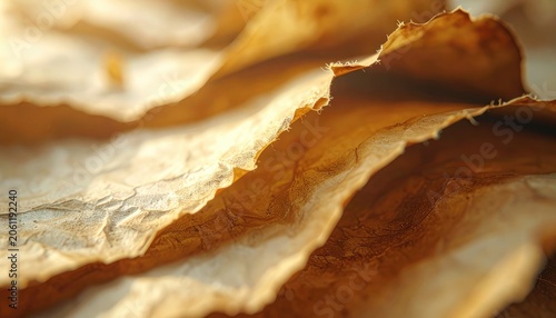 Close-up macro shot of dry, crinkled tobacco leaves with warm lighting.